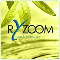 Ryzoom-Logo